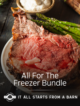 All For The Freezer Bundle